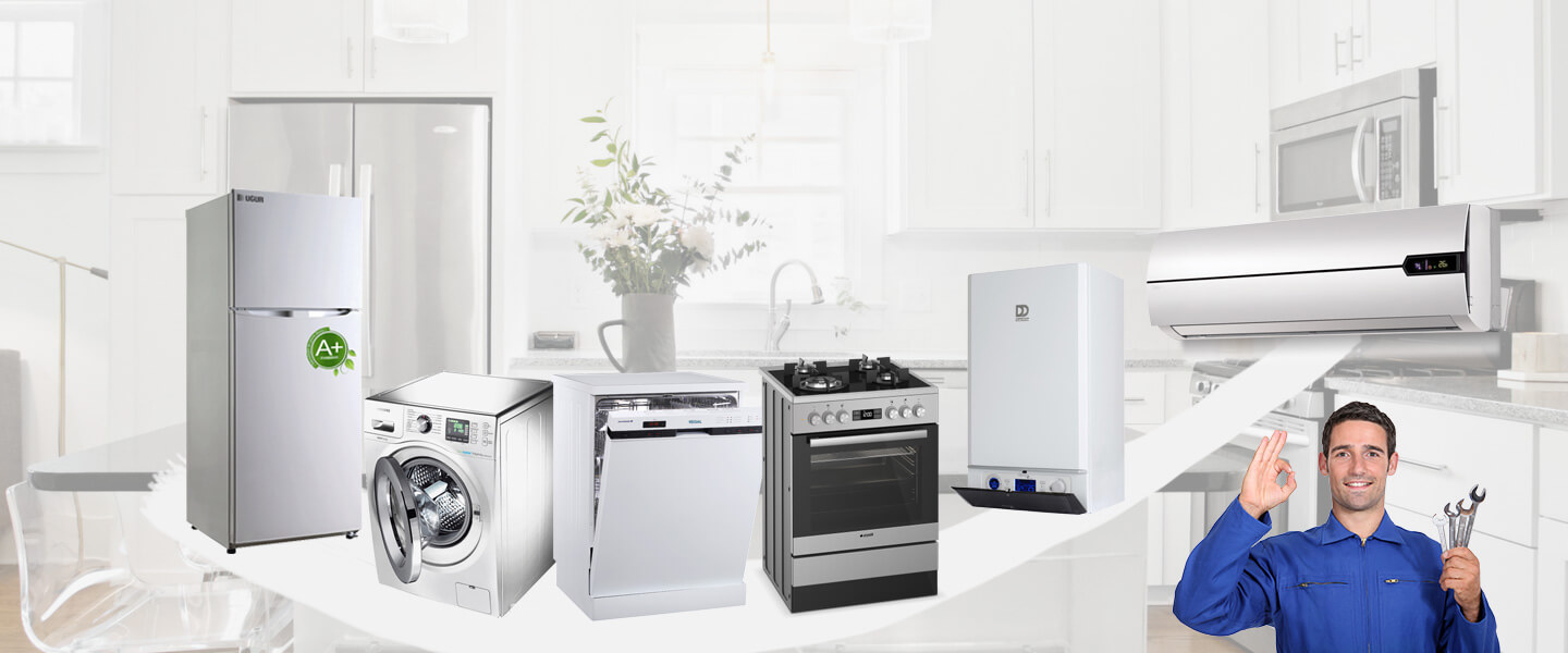 Çal Electrolux Servisi